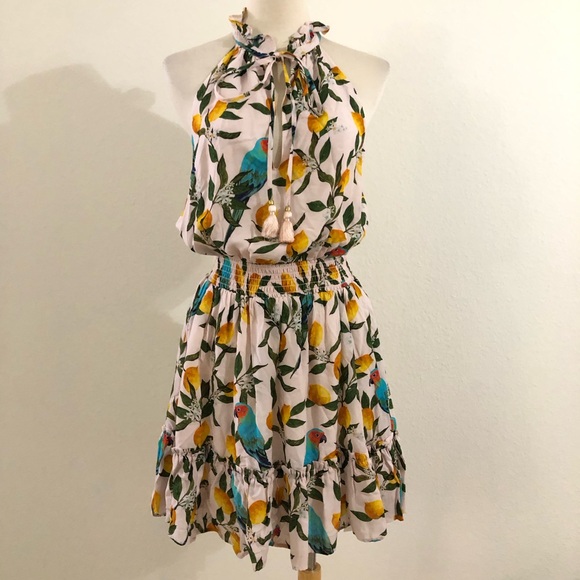 Nicoblu Halter Dress with Tropical Parrot Lemon Print Size Small - Picture 1 of 7